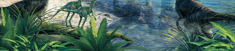 创意侏罗纪世界2海报psd设计背景_新图网 https://ixintu.com 侏罗纪世界2 侏罗纪公园 侏罗纪大冒险 原始森林 恐龙主题海报 恐龙乐园 翼龙 远古大冒险 霸王龙