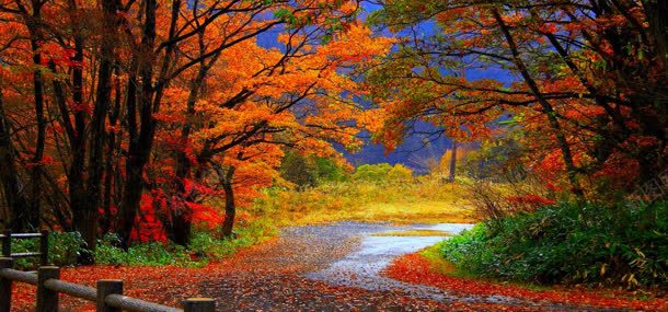 秋季自然风光背景背景