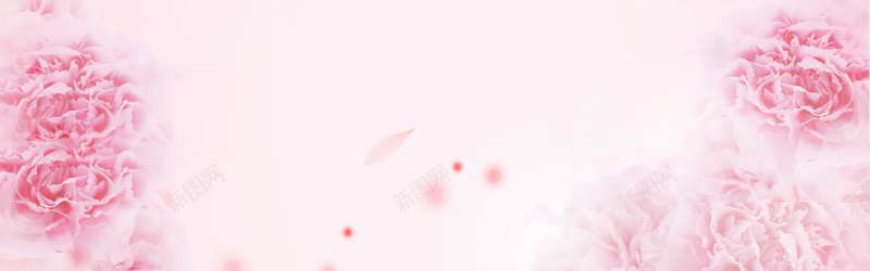 女装玫瑰banner背景图背景
