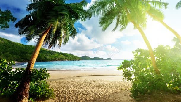 椰树海洋沙滩度假jpg设计背景_新图网 https://ixintu.com 度假 椰树 沙滩 海洋