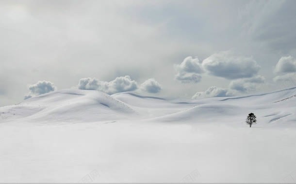 蓝天白云下的孤独的小树jpg设计背景_新图网 https://ixintu.com 孤独 小树 白云 蓝天