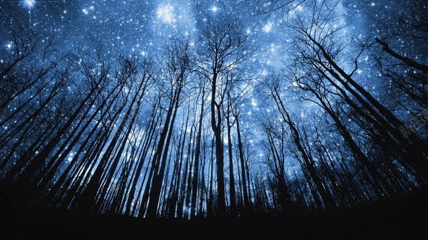 梦幻蓝色星空树林背景