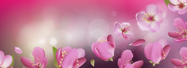 精美樱花banner背景jpg设计背景_新图网 https://ixintu.com 浪漫背景 粉色花朵 花朵