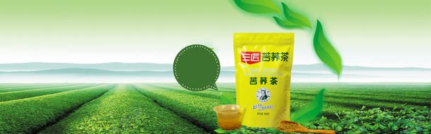 现代茶叶文化bannerjpg设计背景_新图网 https://ixintu.com 古典 广告 茶 茶具 茶叶 茶叶海报 茶园 行业网站