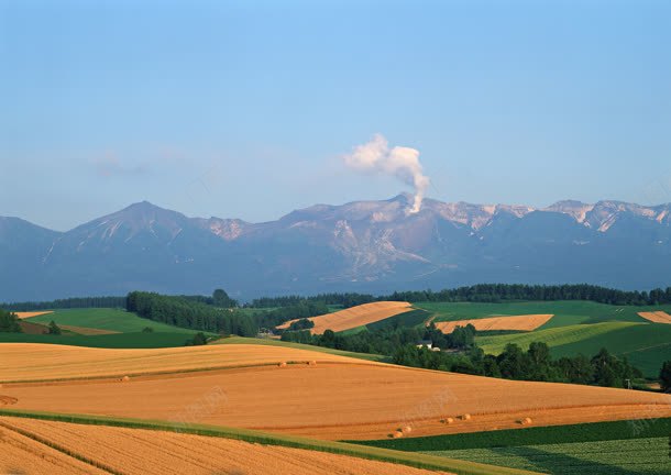 黄色平原田野天空jpg设计背景_新图网 https://ixintu.com 天空 平原 田野 黄色