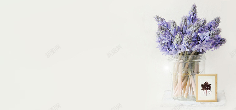 简约薰衣草花束花瓶温馨背景背景图片免费下载 素材0zvaekpev 新图网 简约薰衣草花束花瓶温馨背景背景图片免费下载 素材0zvaekpev 新图网
