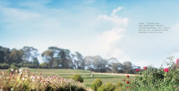 化妆品小清新风格首页背景