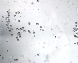 水珠气泡纹理背景图片水珠气泡纹理背景高清图片