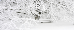 冬雪海报唯美公园冬日雪景风景海报背景图高清图片