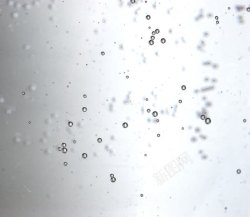水纹免抠素材水珠纹理背景高清图片