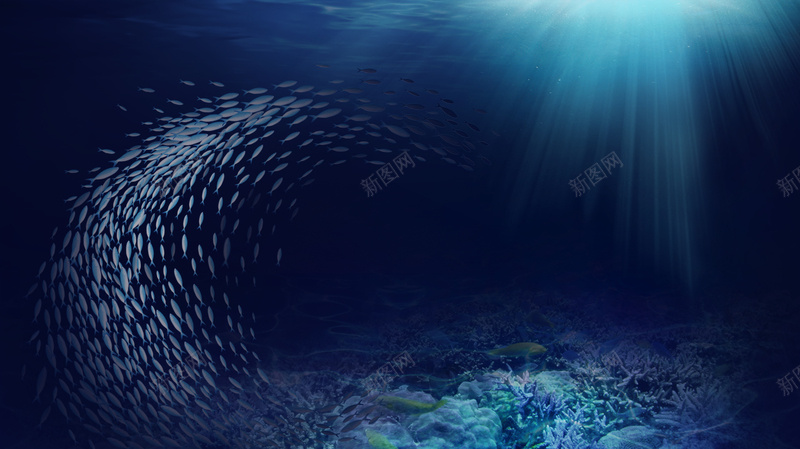 深海鱼群背景图psd设计背景_新图网 https://ixintu.com 小清新 文艺 深海 珊瑚 简约 蓝色海水开心 鱼群
