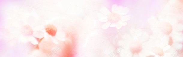 花瓣与枫叶jpg设计背景_新图网 https://ixintu.com 枫叶 花瓣