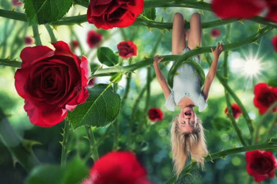 玫瑰花枝上的女孩海报背景背景