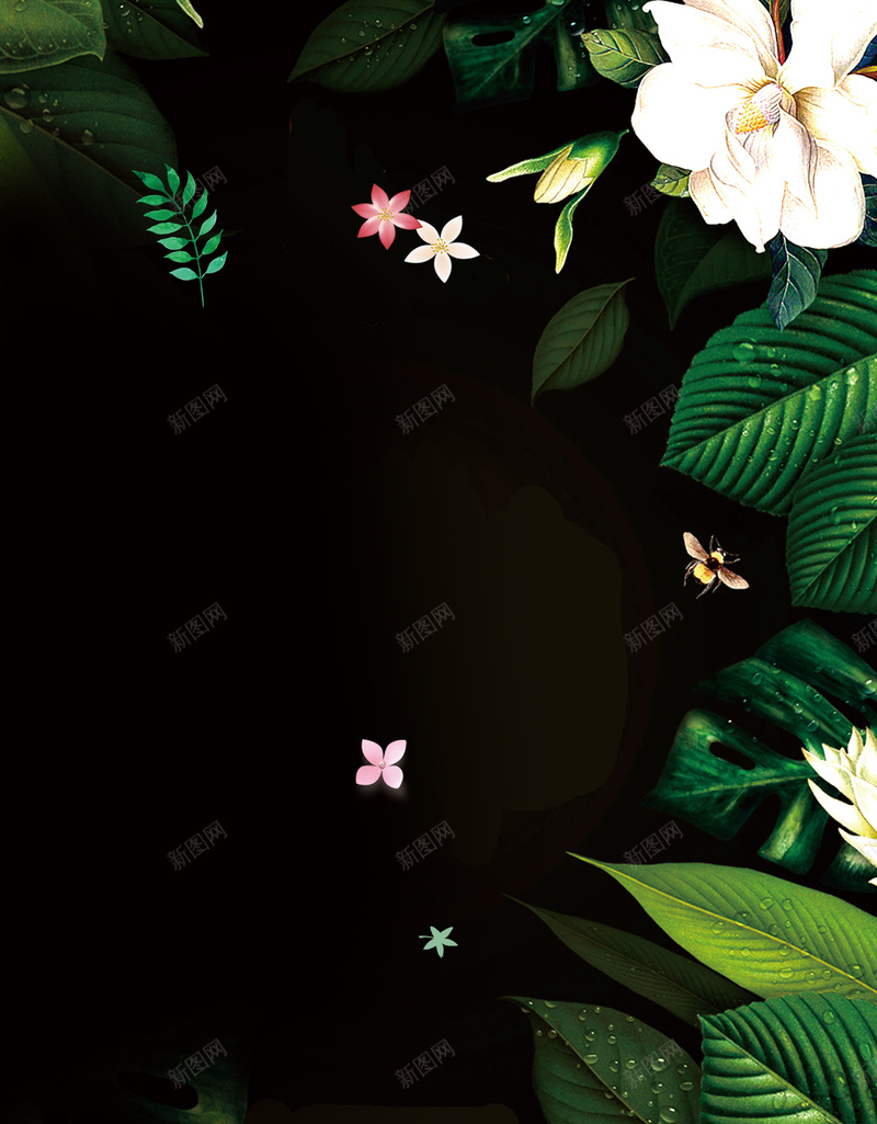 绿色植物简约夏季新品海报jpg设计背景_新图网 https://ixintu.com 促销海报 叶子 夏天海报 新品上市 新品促销 春夏新品 植物 绿色 花朵 黑色背景