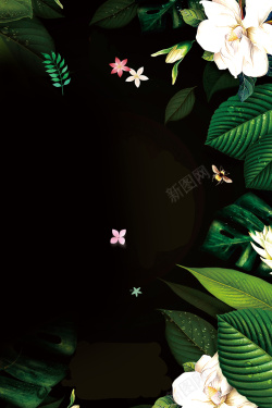 春夏黑色绿色植物简约夏季新品海报高清图片