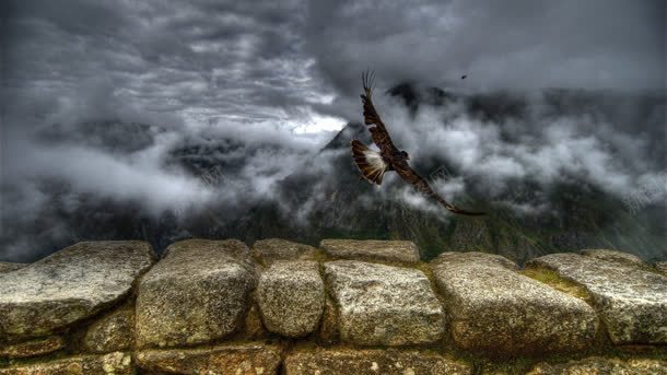 飞起的鸟儿岩石石头jpg设计背景_新图网 https://ixintu.com 岩石 石头 鸟儿