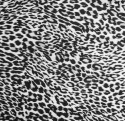 黑白色豹纹图片黑白色漂亮的豹纹高清图片