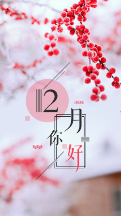 12月你好中国风创意海报海报