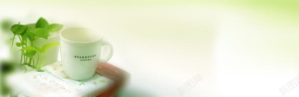 茶叶背景背景