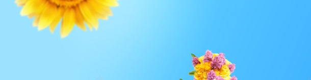 淘宝首页bannerjpg设计背景_新图网 https://ixintu.com banner 向日葵 唯美 花 蓝色