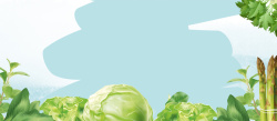 饮食素材大全有机蔬菜美食简约蓝色背景高清图片