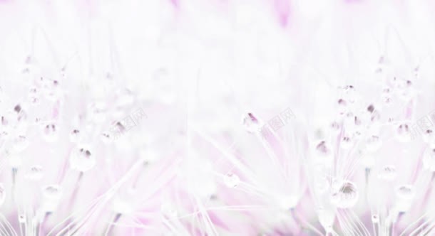 像水涌动有质感的粉红色花丛jpg设计背景_新图网 https://ixintu.com 涌动 粉红色 花丛 质感