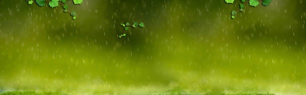 山虎雨苔藓横幅绿色jpg设计背景_新图网 https://ixintu.com 微观植物 横幅 绿色 苔藓