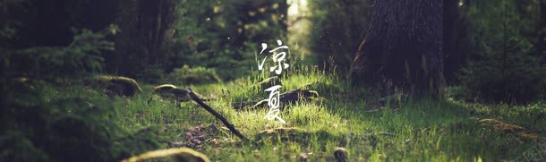 梦幻绿色电商首页jpg设计背景_新图网 https://ixintu.com 梦幻 绿色