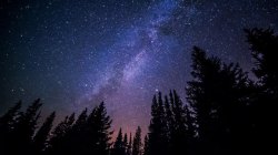 松林松林景观星空银河唯美图高清图片