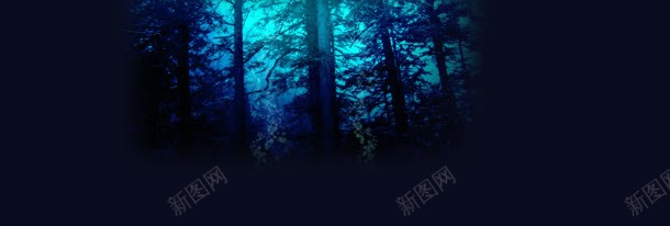 深色光线树林梦幻背景bannerjpg设计背景_新图网 https://ixintu.com banner 寂静 树林 梦幻 深色 背景 蓝色