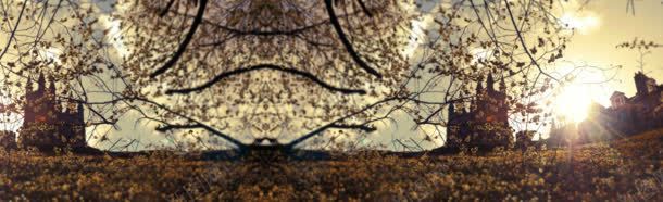 秋季模糊唯美背景bannerjpg设计背景_新图网 https://ixintu.com banner 唯美 模糊 秋季 背景