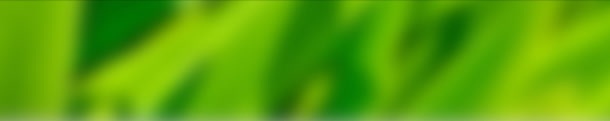 模糊绿色植物海报jpg设计背景_新图网 https://ixintu.com 模糊 海报 绿色植物