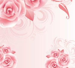 玫瑰上的水珠玫瑰花卉水珠背景高清图片