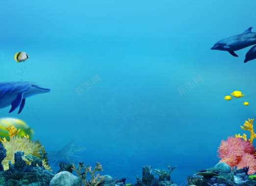 蓝色鲸鱼蓝色海底世界背景