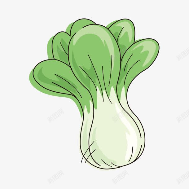 白菜蔬菜png免抠素材_新图网 https://ixintu.com 卡通蔬菜 大白菜 白菜 蔬菜