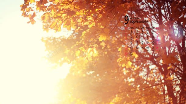 枫叶林风景日历壁纸jpg设计背景_新图网 https://ixintu.com 壁纸 日历 枫叶 秋日森林 风景