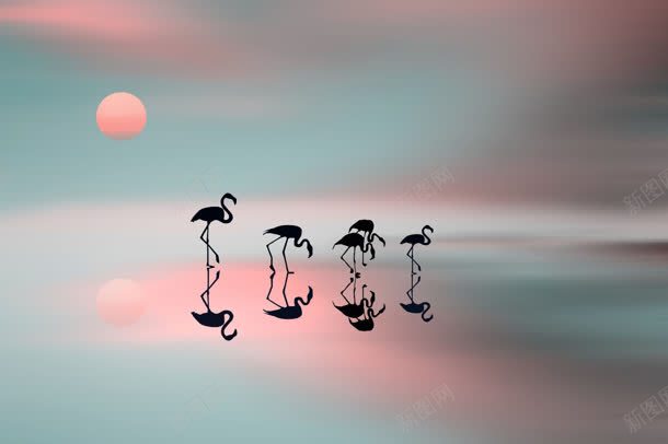粉色天空下的小鸭子jpg设计背景_新图网 https://ixintu.com 天空 粉色 鸭子
