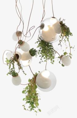 创意摄影质感灯具植物素材