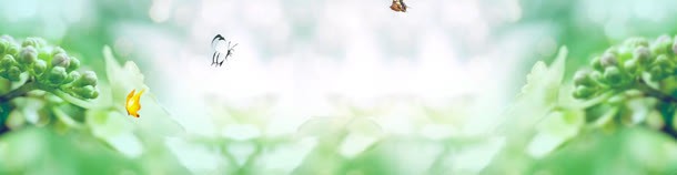 夏季旅游海报jpg设计背景_新图网 https://ixintu.com 大气 心形 植物 水印 淡蓝色