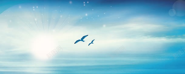 蓝天海鸥背景背景