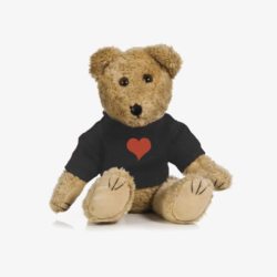 泰迪爱心实物简单玩具泰迪小熊高清图片