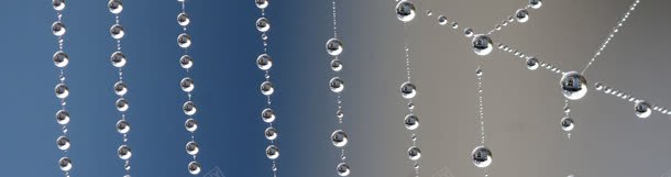 水珠摄影banner壁纸jpg设计背景_新图网 https://ixintu.com 壁纸 水珠 素材 色彩 风景