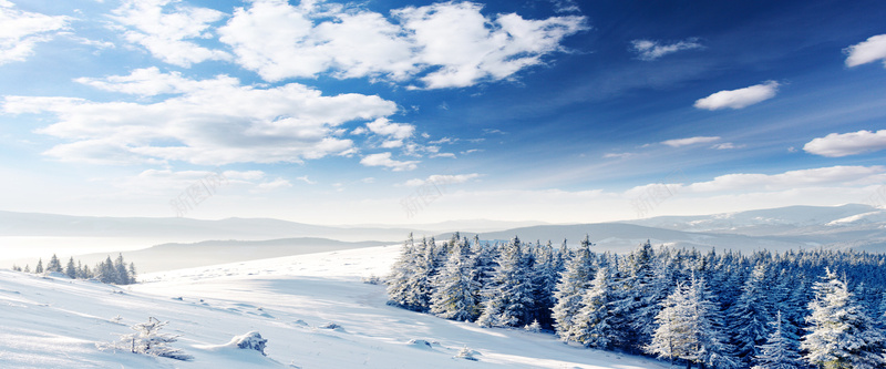 冬季雪地唯美风景海报背景图背景