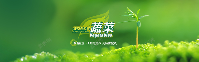 绿色有机蔬菜促销广告jpg设计背景_新图网 https://ixintu.com 嫩芽 新鲜蔬菜背景 有机蔬菜 绿色背景 绿色蔬菜背景 蔬菜促销 蔬菜特价 超市广告