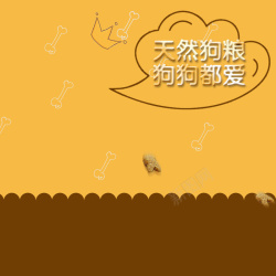 猫粮直通车宠物用品狗粮猫粮淘宝天猫主图高清图片