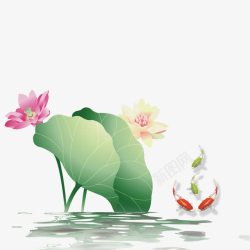 花骨鱼荷花高清图片