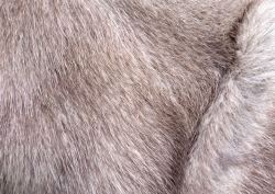 人造毛设计棕色动物皮毛背景高清图片