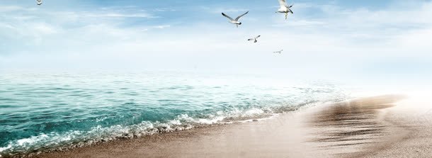 海滩海浪唯美背景bannerjpg设计背景_新图网 https://ixintu.com banner 唯美 海浪 海滩 海鸥 背景
