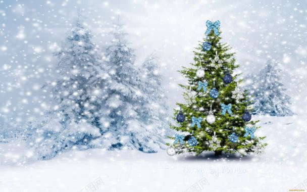 卡通冬季雪花圣诞树海报背景背景