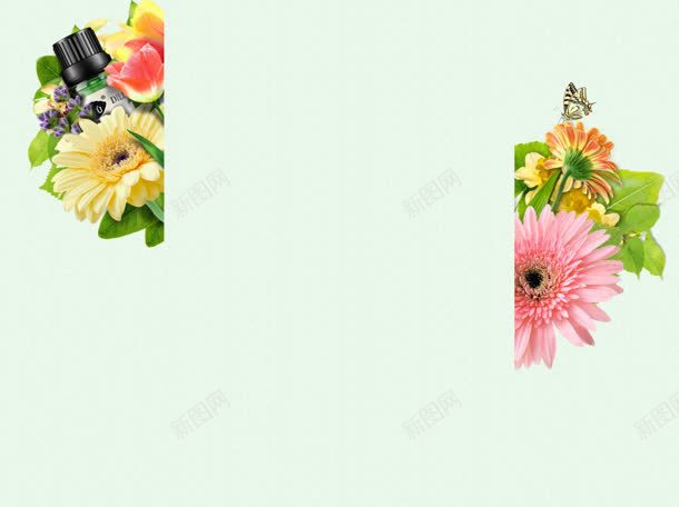 花朵食品类的首页jpg设计背景_新图网 https://ixintu.com 花朵 食品类